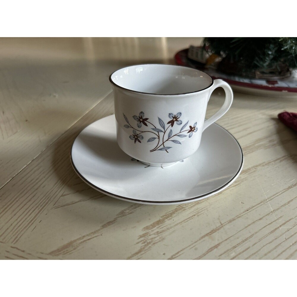 RARE Vintage !! Salem International Ironstone England Wimsey  Cup & Saucer